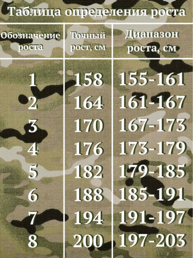 Костюм демисезонный ВКПО 2.0, цвет мультикам (БТК Групп) (54/3 рост 170 (167-173))